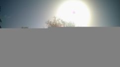 Rosarium Webcam