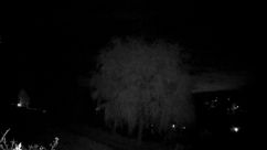 Rosarium Webcam