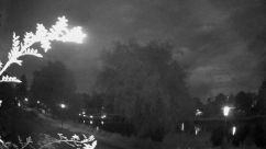 Rosarium Webcam