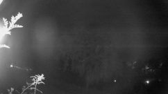 Rosarium Webcam