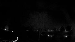 Rosarium Webcam
