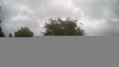 Rosarium Webcam