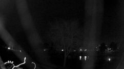 Rosarium Webcam