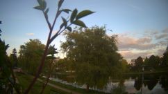 Rosarium Webcam