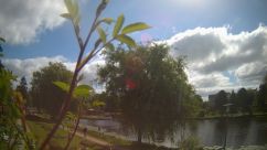 Rosarium Webcam