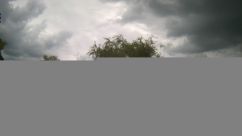 Rosarium Webcam