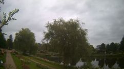 Rosarium Webcam