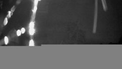 Rosarium Webcam