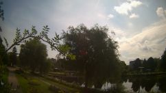 Rosarium Webcam