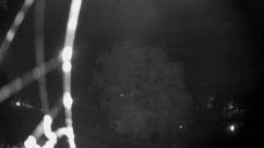 Rosarium Webcam