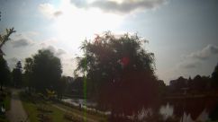 Rosarium Webcam