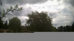 Rosarium Webcam