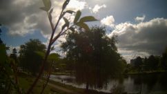Rosarium Webcam