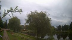 Rosarium Webcam