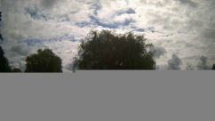 Rosarium Webcam
