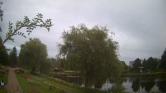 Rosarium Webcam