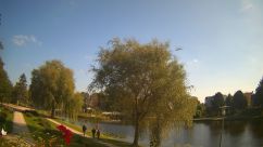 Rosarium Webcam