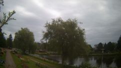 Rosarium Webcam
