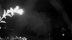 Rosarium Webcam