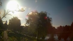 Rosarium Webcam