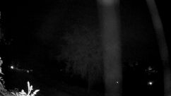 Rosarium Webcam