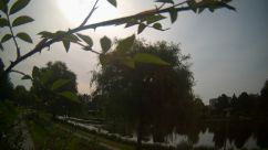 Rosarium Webcam