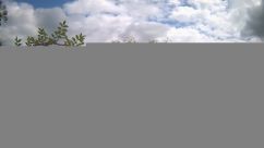 Rosarium Webcam