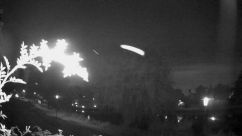 Rosarium Webcam