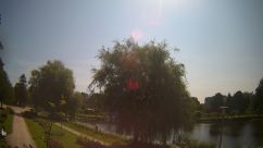 Rosarium Webcam