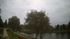 Rosarium Webcam