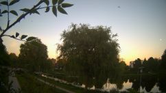 Rosarium Webcam