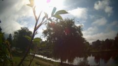 Rosarium Webcam