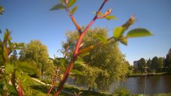 Rosarium Webcam