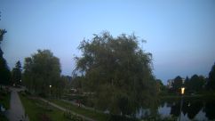 Rosarium Webcam