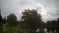 Rosarium Webcam