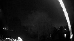 Rosarium Webcam