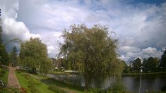 Rosarium Webcam