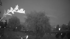 Rosarium Webcam