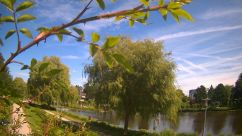 Rosarium Webcam