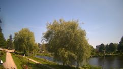Rosarium Webcam
