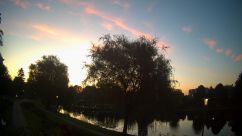 Rosarium Webcam