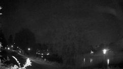 Rosarium Webcam