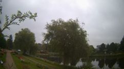 Rosarium Webcam