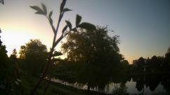 Rosarium Webcam