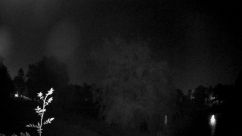Rosarium Webcam