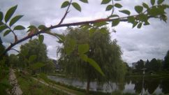 Rosarium Webcam