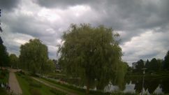 Rosarium Webcam