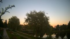 Rosarium Webcam