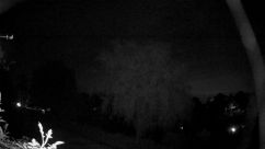 Rosarium Webcam