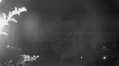 Rosarium Webcam